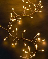 Warm white Christmas light string