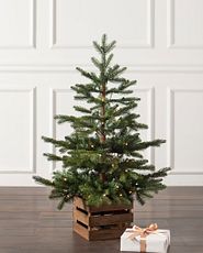 Small Christmas tree in a wooden crate