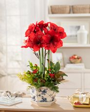 Artificial amaryllis flower in a ceramic pot