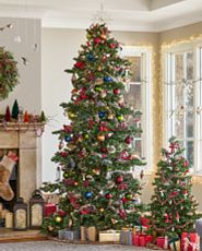 Sparse tree décor idea